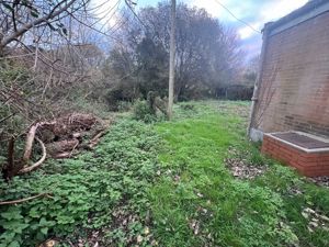 Photo 4- click for photo gallery